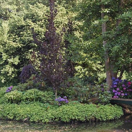 Blokhut De Vlinder Gelegen Nabij Het Pieterpad Villa Coevorden Exterior foto