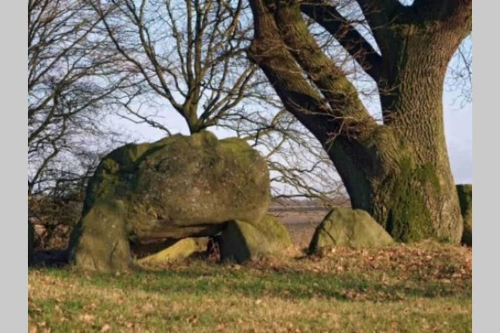 Blokhut De Vlinder Gelegen Nabij Het Pieterpad Villa Coevorden Exterior foto