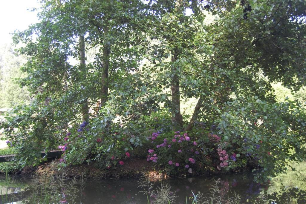 Blokhut De Vlinder Gelegen Nabij Het Pieterpad Villa Coevorden Exterior foto