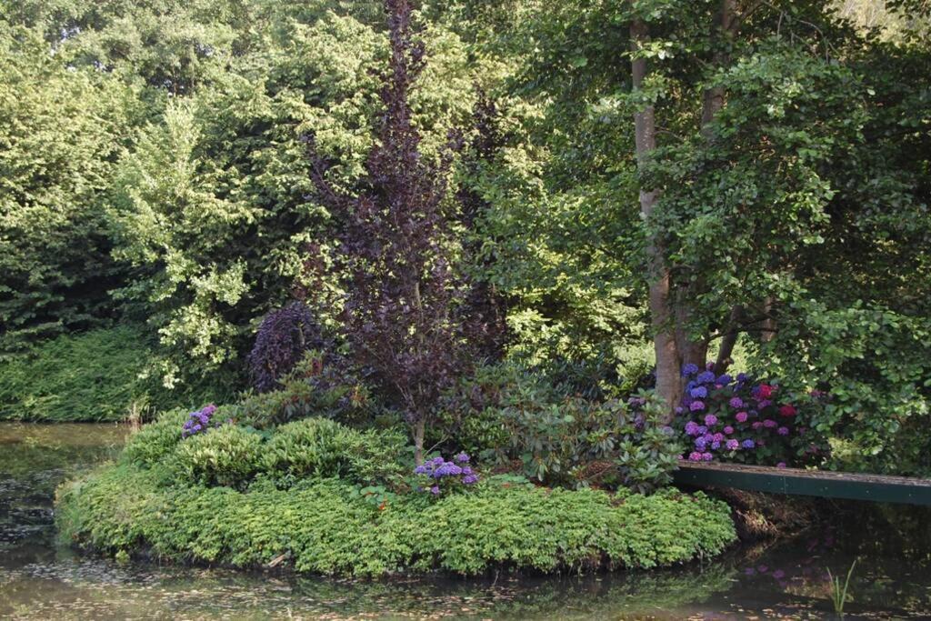 Blokhut De Vlinder Gelegen Nabij Het Pieterpad Villa Coevorden Exterior foto